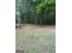 Extensive backyard featuring mature trees and natural surroundings at 2142 E Atlanta Rd, Stockbridge, GA 30281