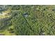 An extensive wooded estate featuring a luxurious home nestled among lush green trees at 1385 Gordon Rd, Moreland, GA 30259