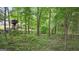 Wooded backyard with a swing set at 1385 Gordon Rd, Moreland, GA 30259