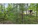Wooded backyard with a swing set at 1385 Gordon Rd, Moreland, GA 30259