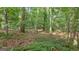 A serene wooded lot with scattered trees and a lush undergrowth of green groundcover and fallen leaves at 1385 Gordon Rd, Moreland, GA 30259
