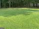 Expansive backyard featuring lush green grass and a serene wooded backdrop at 130 Victoria Pl, Fayetteville, GA 30214