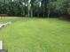 Large grassy backyard with mature trees and a glimpse of an outdoor structure at 130 Victoria Pl, Fayetteville, GA 30214