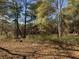Heavily wooded acreage with dried leaves on the forest floor and a few evergreen trees at 10142 Washington Street, Covington, GA 30014