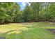 Lush green backyard with trees surrounding an open grassy area and landscaping at 654 Cannon Rd, Sharpsburg, GA 30277