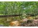 Scenic view of a calm river surrounded by lush green trees reflecting in the water at 654 Cannon Rd, Sharpsburg, GA 30277