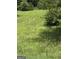 Picture showcasing the land with green grass and shady trees, offering a serene and natural environment at 1810 Highway 138 E, Stockbridge, GA 30281