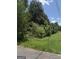 Image of yard with vegetation and some trees at 1810 Highway 138 E, Stockbridge, GA 30281