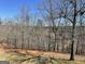 Expansive backyard featuring trees and an old-fashioned, rustic, chain-link fence at 637 Lakeview Dr, Newborn, GA 30056
