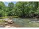 Scenic view of the stream running through the lush, wooded backyard at 177 Selfridge Rd, Mcdonough, GA 30252