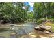 Another peaceful view of the stream flowing through the wooded backyard at 177 Selfridge Rd, Mcdonough, GA 30252