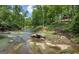 Picturesque creek view with lush green trees in the background for recreation and a peaceful setting at 177 Selfridge Rd, Mcdonough, GA 30252
