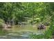 Scenic view of a flowing river surrounded by lush greenery and mature trees at 177 Selfridge Rd, Mcdonough, GA 30252