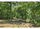 Picturesque river view with wooded surroundings, enhancing privacy and natural beauty at 177 Selfridge Rd, Mcdonough, GA 30252