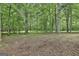 Lush backyard featuring mature trees and natural ground cover, creating a serene outdoor space at 270 Carrolls Way, Fayetteville, GA 30215