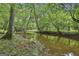A creek flows through a wooded area, reflecting the trees on the water's surface at 270 Carrolls Way, Fayetteville, GA 30215