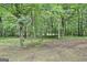 Mature trees fill the vacant and wooded lot at 270 Carrolls Way, Fayetteville, GA 30215
