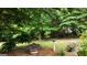 Lush backyard featuring a bird bath, ferns, mature trees, and plants at 1120 Upchurch Rd, Mcdonough, GA 30252