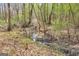 Wooded backyard featuring a gently flowing creek surrounded by trees and natural foliage at 327 Old Muse Rd, Carrollton, GA 30116