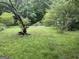 Wide backyard view showing overgrown grassy area and perimeter fencing at 11591 Turner Rd, Hampton, GA 30228