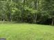 Grassy backyard surrounded by lush trees, offering a private outdoor space at 11591 Turner Rd, Hampton, GA 30228
