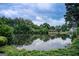 Scenic view of a serene pond with surrounding lush greenery and reflected sky at 1952 Sugarstone Dr, Lawrenceville, GA 30043