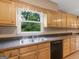 Close-up of the kitchen sink and window with a pleasant outdoor view at 778 Leguin Mill Rd, Locust Grove, GA 30248
