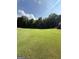 Expansive backyard with a vibrant green lawn, mature trees, and ample space for outdoor activities and relaxation at 1422 New Holland Cir, Mcdonough, GA 30252
