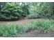 Scenic view of a lush creek bank with greenery, providing a natural backdrop at 5880 Mulberry St, Austell, GA 30168