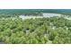 Overhead view of a residential area surrounded by lush trees with a distant view of the neighborhood lake at 9148 Tarnwood Dr, Villa Rica, GA 30180