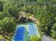 Aerial shot of two tennis courts with blue and green surfaces surrounded by mature trees and greenery at 107 Calloway Xing, Peachtree City, GA 30269