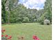 Large backyard featuring mature trees and well-maintained lawn, offering a private outdoor space at 260 Sharon Dr, Fayetteville, GA 30214