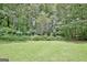 Expansive backyard with mature trees providing shade and privacy at 260 Sharon Dr, Fayetteville, GA 30214
