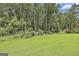 Large backyard featuring well-maintained lawn and wooded area providing ample privacy at 110 Sunflower St, Tyrone, GA 30290