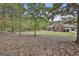 Lovely single-story brick home nestled among mature trees with well-maintained landscaping, a peaceful retreat at 3530 Highway 81 W, Hampton, GA 30228