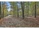 Driveway through wooded property at 3530 Highway 81 W, Hampton, GA 30228