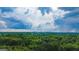 Aerial view showcasing the community's serene surroundings, lush trees, and distant city skyline at 3150 Stratford Green Pl, Avondale Estates, GA 30002