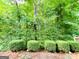 Landscaped backyard featuring garden hedges and wooded area at 3150 Stratford Green Pl, Avondale Estates, GA 30002