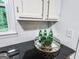 Kitchen countertop with decorative tray, plants, and drinks at 3150 Stratford Green Pl, Avondale Estates, GA 30002