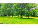 Lush backyard with multiple trees, providing shade and privacy for a relaxing outdoor space at 3150 Stratford Green Pl, Avondale Estates, GA 30002