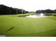 Scenic view of the lush green golf course, complete with a pond and fountain feature in the background at 433 Abbey Springs Way, Mcdonough, GA 30253
