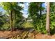 Mature trees frame a flowing stream in the back of this beautifully landscaped backyard at 150 Dean Dr, Tyrone, GA 30290