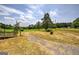 Expansive front yard featuring lush greenery and a long gravel driveway at 668 Spring Place Ne Rd, White, GA 30184