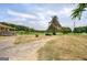 Front yard features a gravel path, a large tree and a partial view of a porch surrounded by a green meadow at 668 Spring Place Ne Rd, White, GA 30184