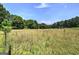 Image shows a large field with lush green grass, perfect for outdoor activities at 668 Spring Place Ne Rd, White, GA 30184