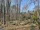 The property has mature trees with a house and other outbuildings visible through the trees at 4389 & 4381 Campbell Rd, Snellville, GA 30039
