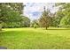 Wide open lush green backyard featuring mature trees, ideal for outdoor activities and relaxation at 306 Tyrone Rd, Fayetteville, GA 30214