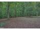 Lush, wooded lot offers privacy and a natural setting at 235 Rustic Mill Ln, Fayetteville, GA 30214
