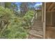 Wooden stairs leading to the back of the house, surrounded by lush greenery and mossy rocks at 6220 Petersburg Rd, Fairburn, GA 30213
