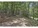 Idyllic view of a serene dirt path winding through a peaceful wooded area at 6220 Petersburg Rd, Fairburn, GA 30213